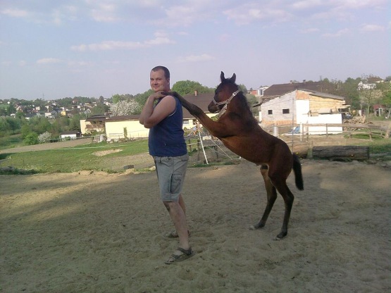 koniarz bloguje koniarz bloguje