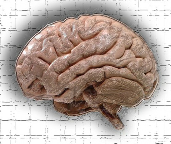 non bloguje non bloguje