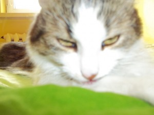 Mariusz