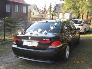 kristof35