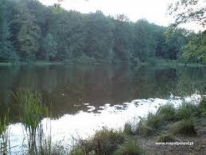 chłop z lasu