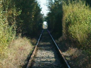 Krzysiek 63
