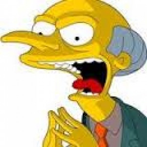 Brzoza