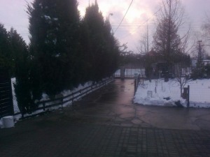 kasia35