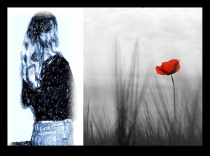 ona533 bloguje ona533 bloguje