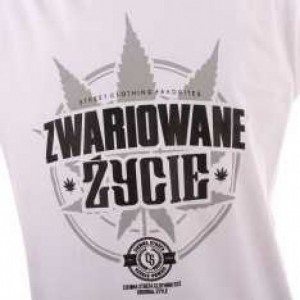 adamszz26