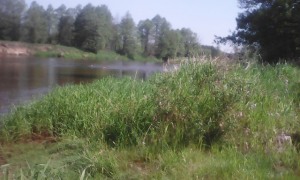 woda