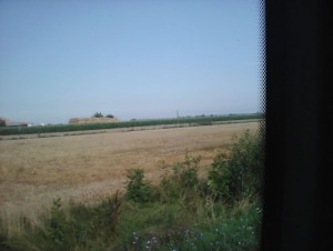 woda